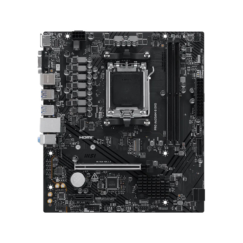 MSI - PRO-A620AM-B-EVO - ������ ������ ����