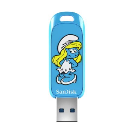 SANDISK - SDCZIS-256G-G46 - ������ ������ ����